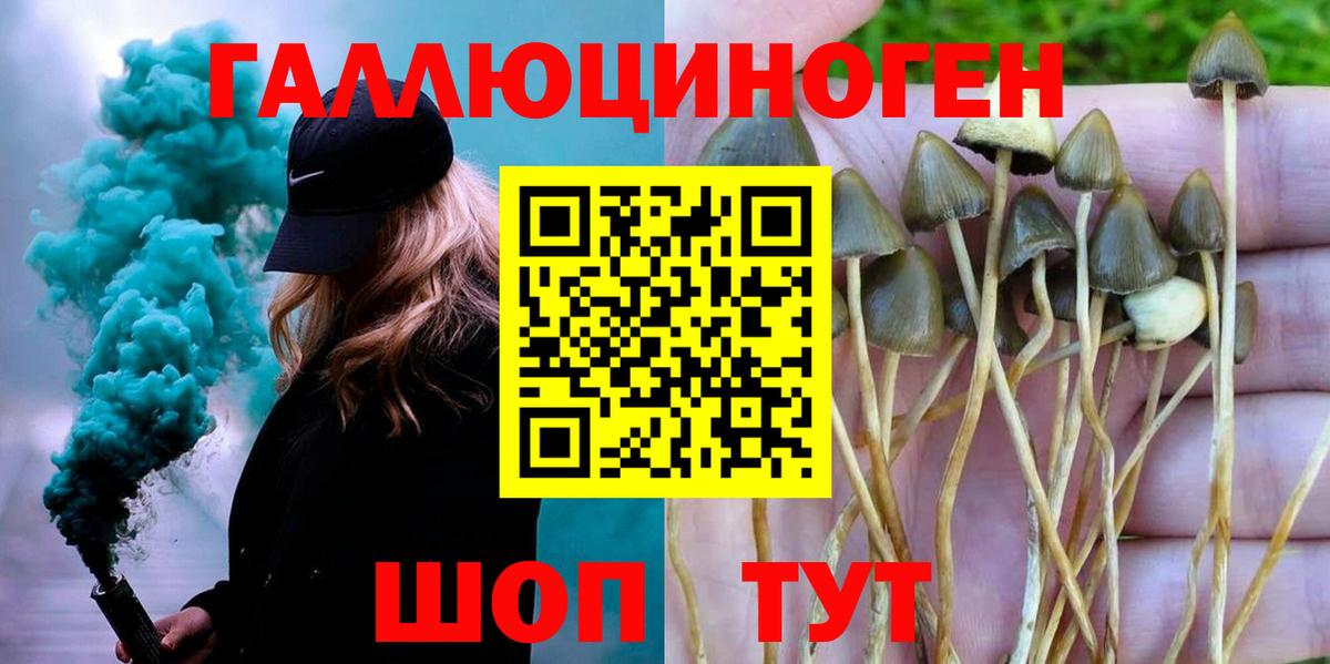 Галлюциногенные грибы прущие грибы Ангарск