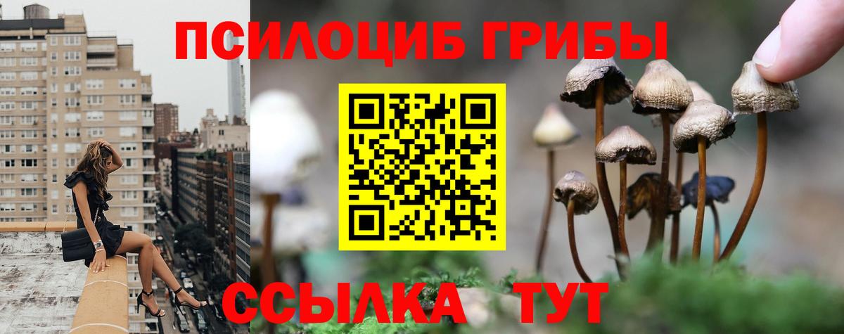 Ангарск  Псилоцибиновые грибы ЛСД  Галлюциногенные грибы Psilocybine cubensis  Вход с VPN 